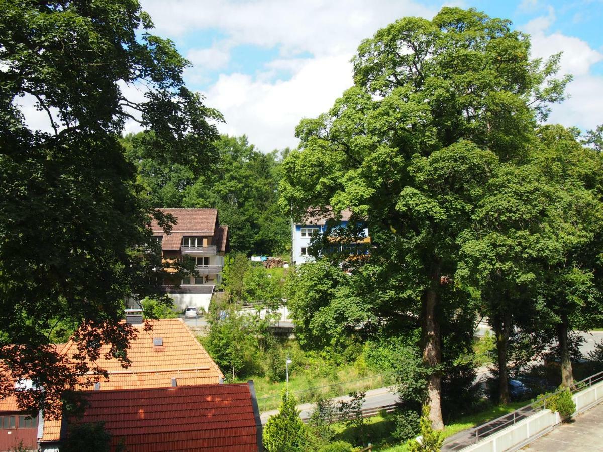 Apartment Harzgruen 2 Sankt Andreasberg Exterior photo